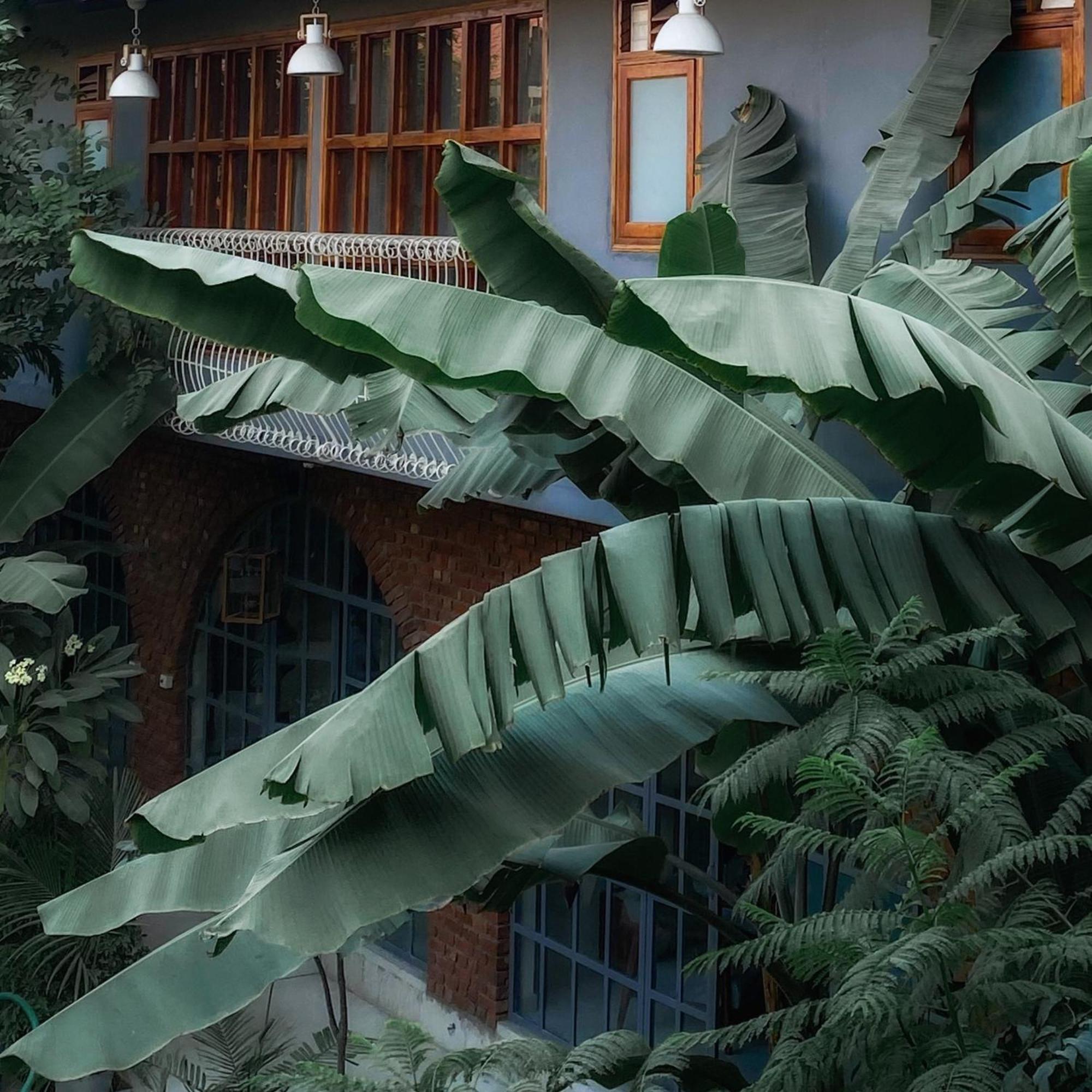 Hotel The Artist House Udaipur Esterno foto